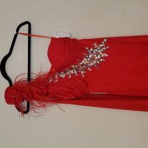 NWT Feather and stone gown, prom dress